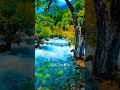 跌落人间的瑶池仙境! 九寨沟,中国5A级景区的天花板