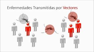 4 ENFERMEDADES - AEDES Y ANOPHELES