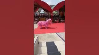 Barongsai paramita Rengat di Peresmian vihara dharma manggala belilas