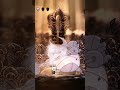parte 5 de derrotando a la mayoría de bosses en armonía.