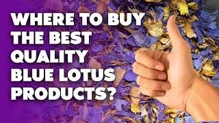 Career Overview Buy Blue Lotus Products | Blue Lotus Resin Extract, Resin Oil, Herbal E-Liquid, and more