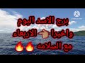 برج الاسد اليوم واخيرا الاربعاء مع السلامه