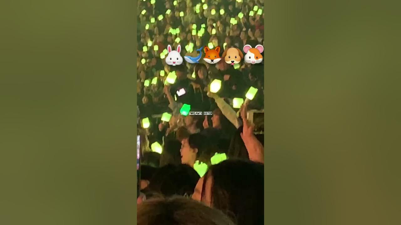 gemesnya #jaemin #jeno #renjun #chenle #jisung pas nonton konser hyung2nya #nct127 #nctdream #nct