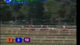 HIPODROMO LA PLATA 17/12/09 7