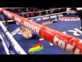 Vijender singh vs andrzej soldra knockout complete fight full pro boxing