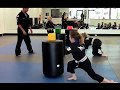 Basic SKILLZ FOCUS martial arts class for 5 and 6 year olds