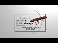 🎵 Guzheng Instrument Patch | MainStage Live Performance | Ethnic Strings VST | TnU Zephaniah Keys