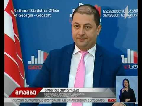 საქსტატი - თებერვალში ეკონომიკა წლიურად 4,6%-ით გაიზარდა