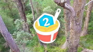 How to draw a Forest Battle Map by studying the Australian bush – The DM