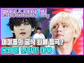 【ENG】방탄소년단 뷔, 아이들의 공식 최애 등극? 온라인 난리인 이유 BTS V, Children's Official Favorite Ranking? 돌곰별곰TV