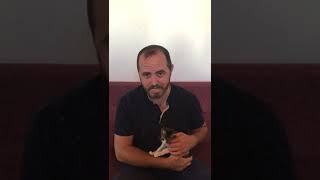 Hayvan Diyip Geçmeyin Onları Koruyalim