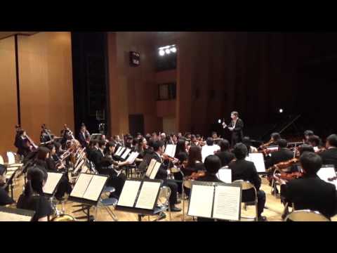 MAX Philharmonic Orchestra