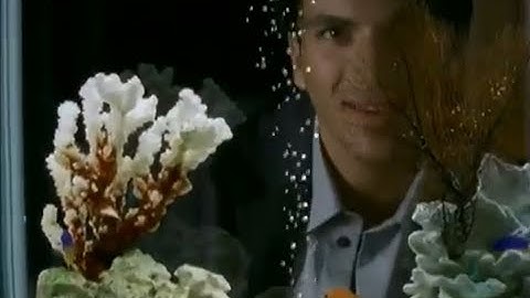 Peter André ~ "Kiss The Girl" Music Video (The Little Mermaid)