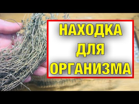 САХАР РУХНУЛ! ГРЕКИ НЕ БОЛЕЮТ! А ВОТ ПОЧЕМУ, ВСЕГО ОДИН СТАКАН СПОСОБЕН на.....