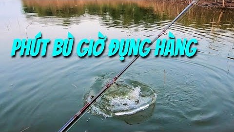 Hành trình săn lóc khủng (Tập 4). Thợ săn cá lóc.