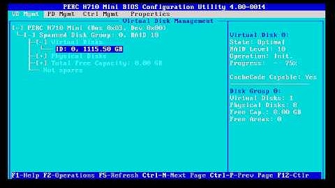 Raid 10 Initialization Dell PowerEdge R620