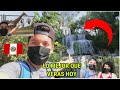 un OASIS dentro de LIMA PERU 🌍 pequeño BOSQUE EN LIMA @ederson rodriguez (venezolanos en Perú)