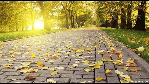 ISALNUM funtion in C++