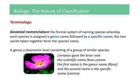 An Introduction to Taxonomy