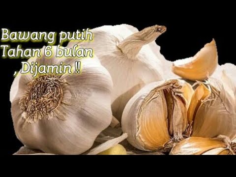 Video: Cara Menyimpan Bawang Putih Di Rumah Untuk Musim Dingin