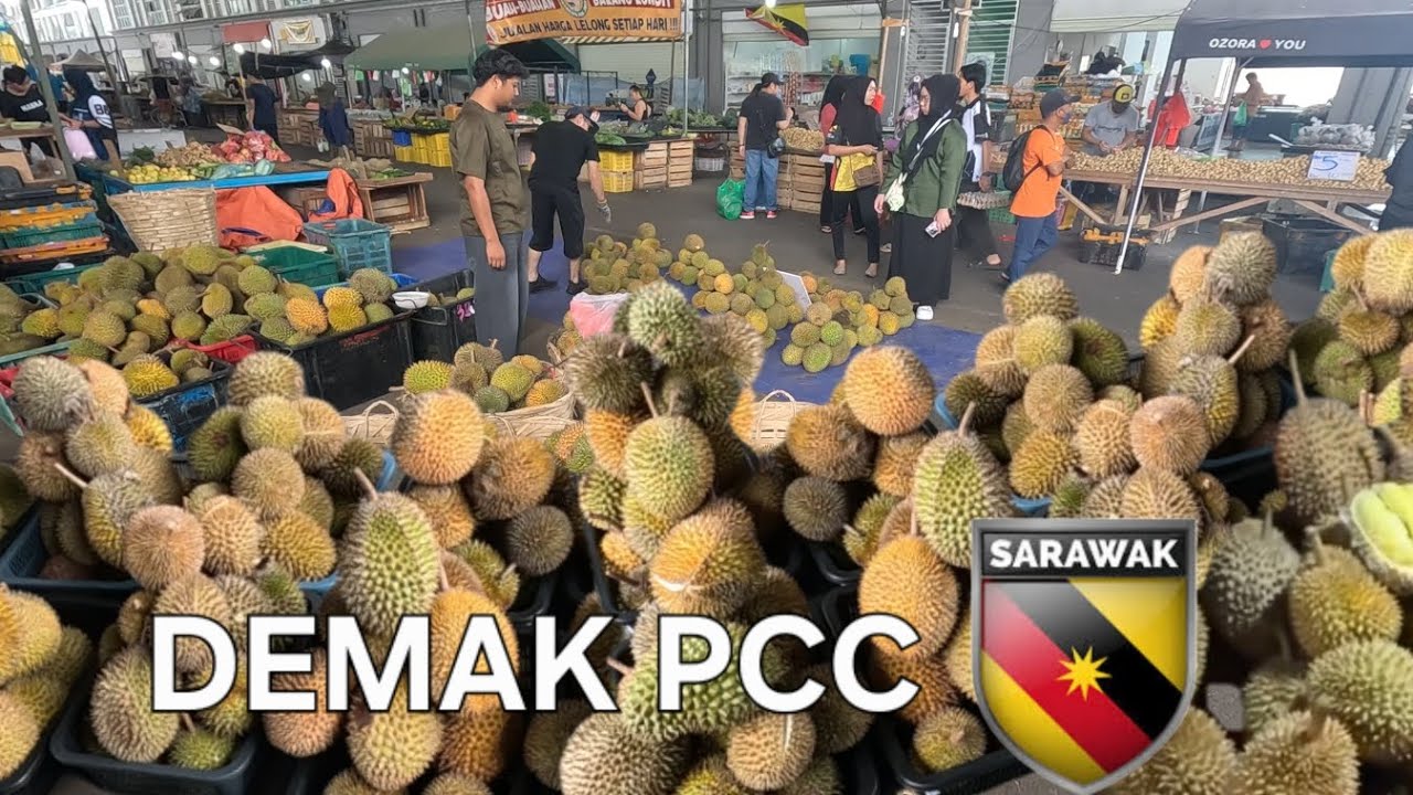 KUCHING BANJIR DURIAN🎯LELONG LELONG GAIS‼️