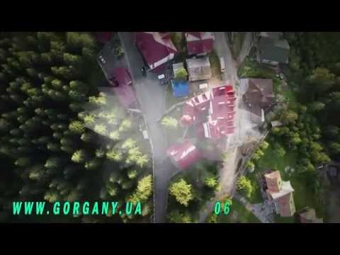 ГОРГАНЫ Карпаты От