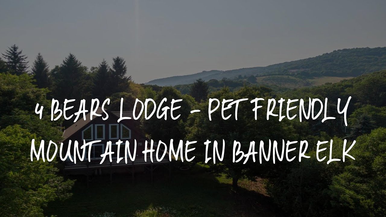 4 Bears Lodge - Pet Friendly mountain home in Banner Elk Review - Banner Elk , United States of Amer