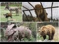 Parque Safari Chile - Zoológico de rancagua [safari grandes felinos - herbívoros - jurásico]