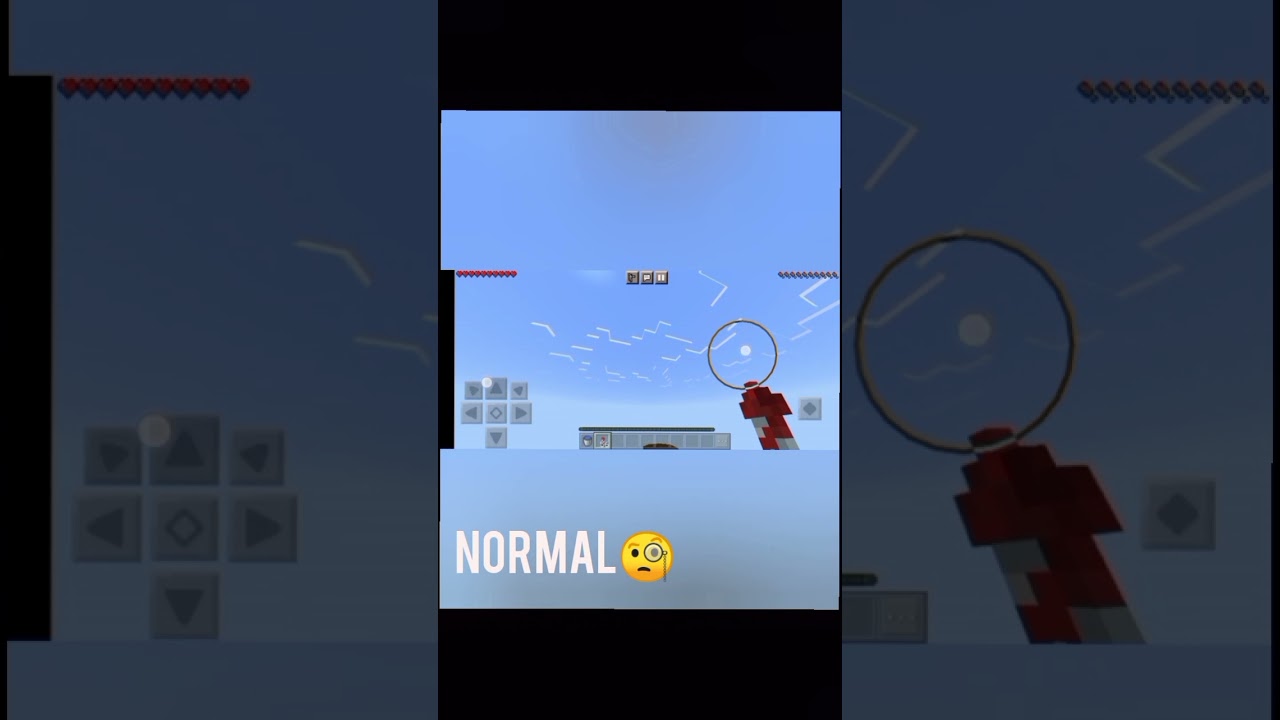 elytra fly.. Noob vs Pro vs Hacker....... respect all players 👍🏻❤️