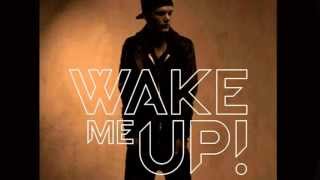 AVICII  -  WAKE ME UP! (Boomer Mash Up)