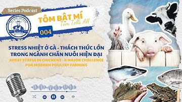 🦐🎙 TÔM BẬT MÍ_0️⃣0️⃣4️⃣ | 🦐🎙TÔM TELLS ALL_0️⃣0️⃣4️⃣