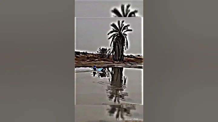 Miss The Rage|Car Edit  #edit #recommended #cars #japan #jdm #rwb #porsche #nostalgic #carmeet