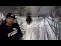 Mars Hydro Pro 2 320 LED + Grow Tent