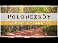 Polonezköy Yürüyüş Parkuru | Polonezköy&#39;de Sonbahar - İstanbul 4K