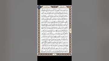 القرآن الكريم | القارئ ياسر الدوسري صفحة 19 سورة البقرة