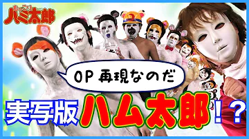 ハム太郎op Mad Mp3 ハム太郎op Mad Mp3