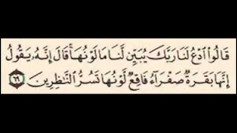 سورة البقره آيه 68  - 69