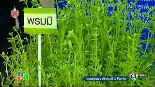 คัดข่าวดี | หนุนผลิตภัณฑ์สมุนไพรสู่อาเซียน, "พรมมิ" สมุนไพรบำรุงประสาท ชะลอความจำเสื่อม | 16-03-58