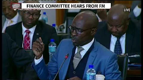 Gigaba appears before parliament's committee on finance