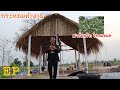 จากที่นาเดิมๆ เปลี่ยนเป็นสวนเกษตร!!สวนนายปอนด์ Farming Thailand EP.1