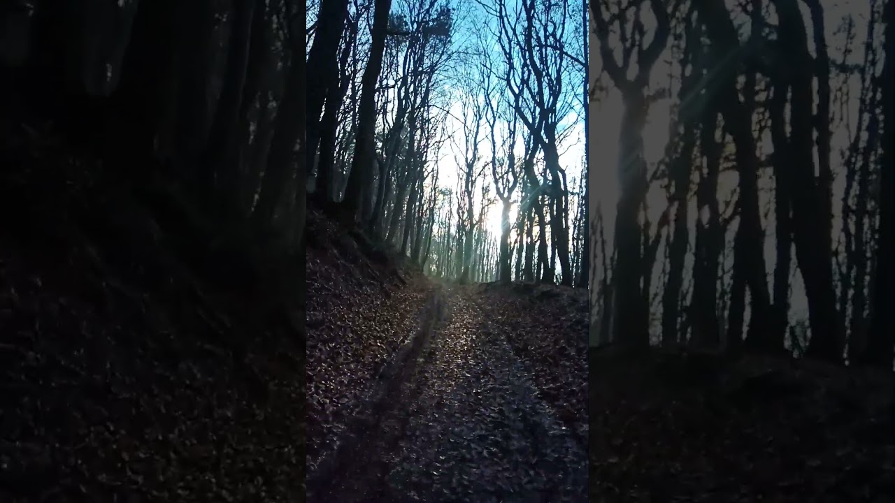 Gleitschirm Singelskin Rheinland-Pfalz