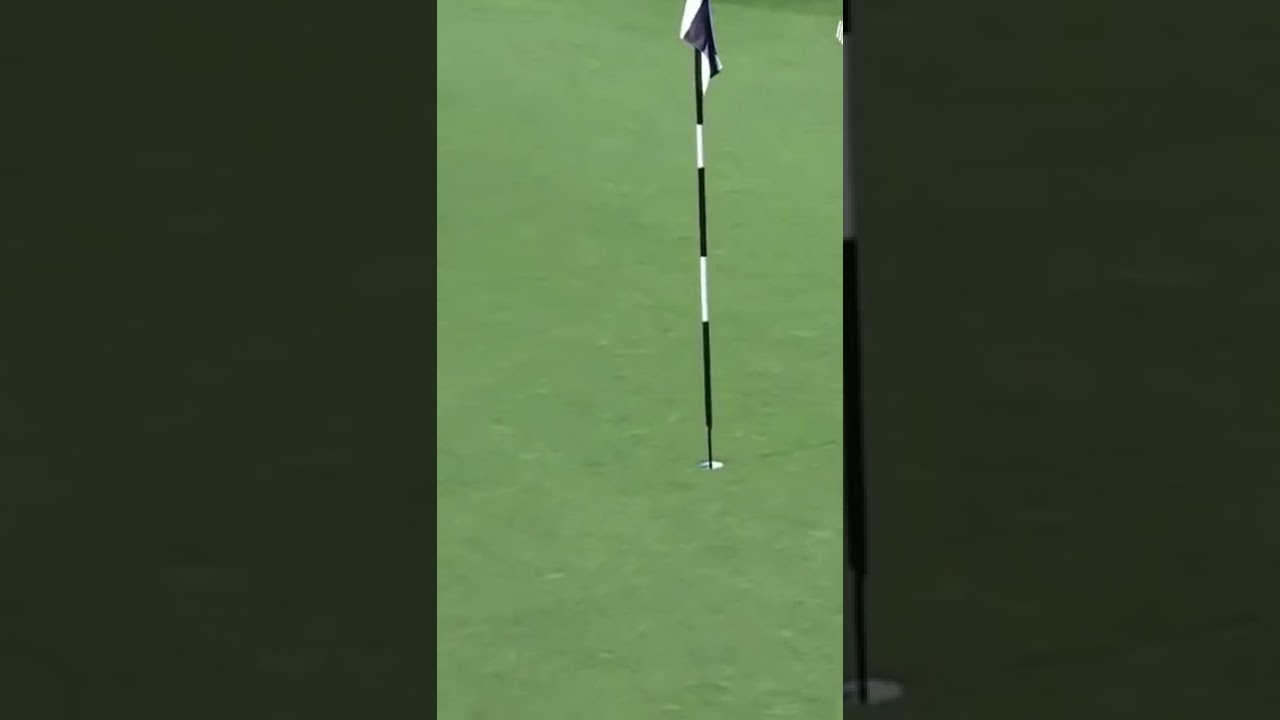 WHAT. A. SHOT. 