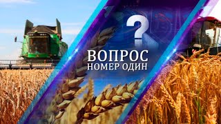 Новые тренды в сельском хозяйстве: как в Беларуси собирают урожай? ВОПРОС НОМЕР ОДИН