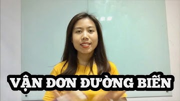 CÁC LOẠI VẬN ĐƠN ĐƯỜNG BIỂN - ĐỌC HIỂU VẬN ĐƠN ĐƯỜNG BIỂN - DỊCH VỤ LOGISTICS