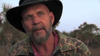 They Live in Trees (skunk ape documentary)