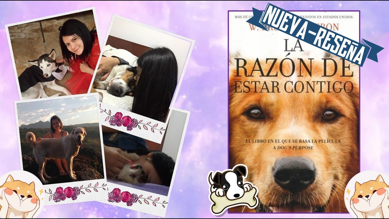 Reseña La Razón De Estar Contigo W Bruce Cameron El Tintero De Raquel Booktube Colombia