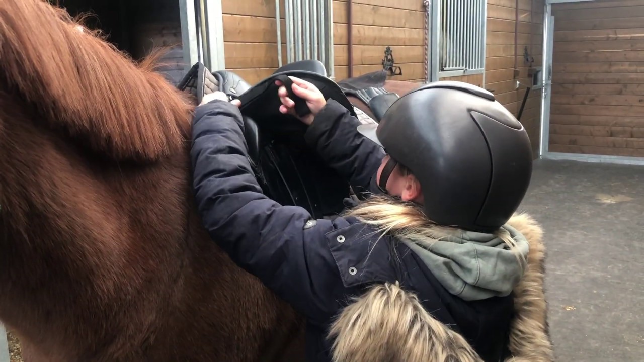 PŘIPRAV SI PONÍKA ZA 5 MINUT