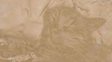 Blender photo editing tutorial | Blender beginner tutorial