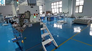 The one magnetic metal flake vision counting packaging machine