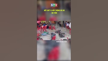 BẮT GIỮ 15 ĐỐI TƯỢNG ĐÁ GÀ ĂN TIỀN #truyenhinhbinhthuan #btv